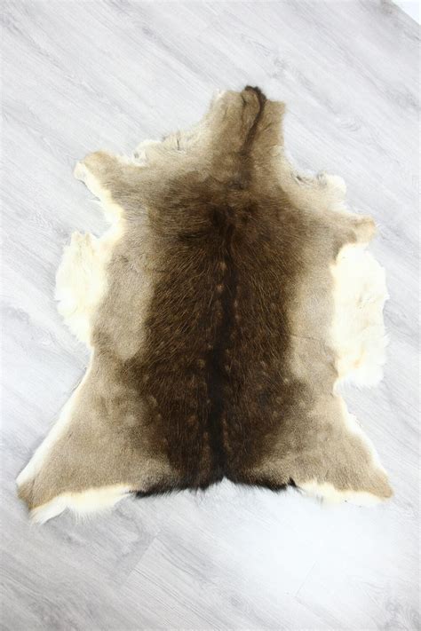 Deer Hide | Deer Rug | Deer Skin | Throw L Large - Scandinavian Style ...