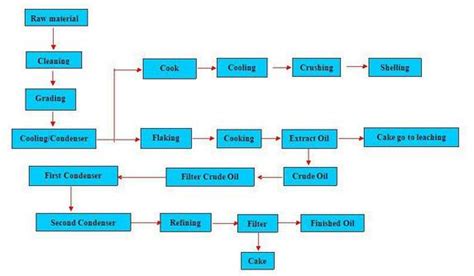 Rice Bran Oil Extraction Process