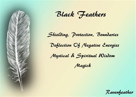 Black Feathers | Feather meaning, Black feather meaning, Black feathers