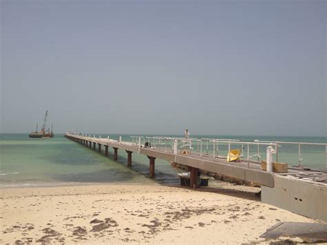 Piling works for Jetty at Al Jassasia – Al Shamal, Qatar – Ammico ...