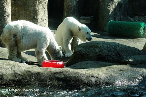 Oregon Zoo in Washington Park | Portland - Oregon Discovery