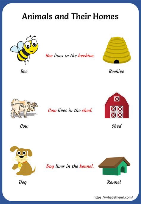 Printable Animals and Their Homes Worksheets - Your Home Teacher