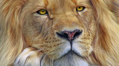 wild, leu, paw, face, digital art, eyes, lion, animal HD Wallpaper