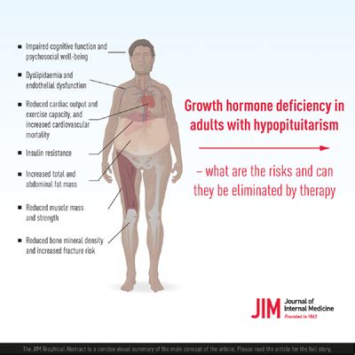 Growth hormone deficiency in adults with hypopituitarism—What are the risks and can they be ...