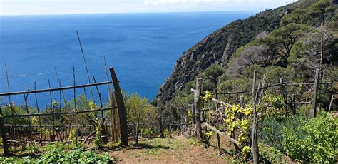 Best Trails in Portofino: meet our insider Francesca | BeautifuLiguria