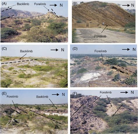 Field photograph of the various fault related anticlinal topographies... | Download Scientific ...