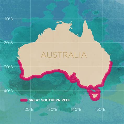 Who’s heard of the Great Southern Reef? - Curious