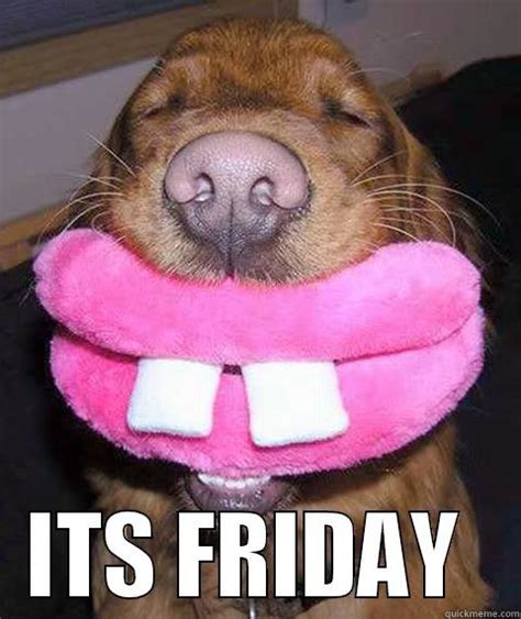 Dog Friday Feeling - quickmeme