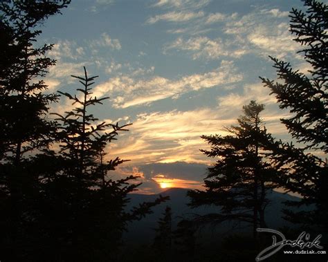 Sunset Mountain Trees | Mountain sunset, Sunset, Outdoor