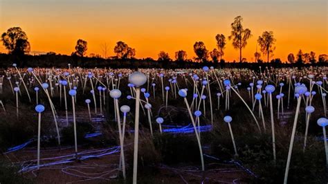 Field of Light Uluru has Australia's icon glowing with over 50,000 lights