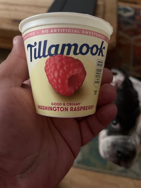 Tillamook Yogurt, Low-fat, Raspberry: Calories, Nutrition Analysis & More | Fooducate