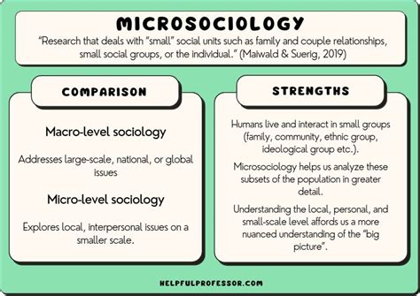 Microsociology: Definition, Examples & Criticism (2024)