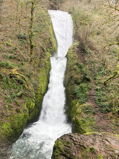 Waterfalls and Wine in Oregon - A Day Trip from Portland, Oregon