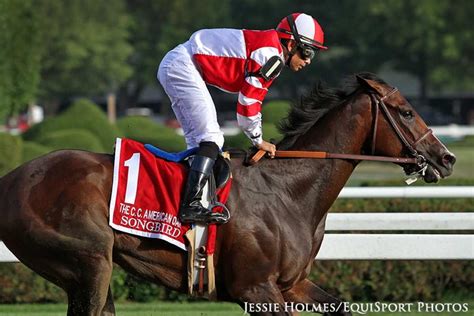 Songbird Hopes To Soar Once Again In Saturday's Alabama Stakes - Paulick Report | Shining Light ...