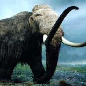 Woolly Mammoth DNA Inserted Into Elephant Cells - ZergNet