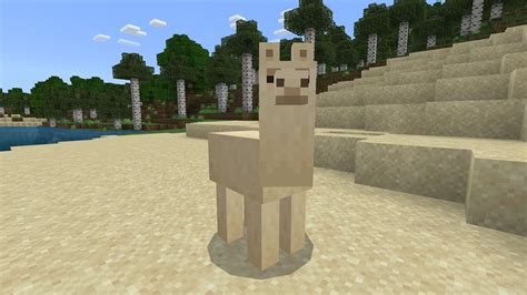 What do llamas eat in Minecraft?