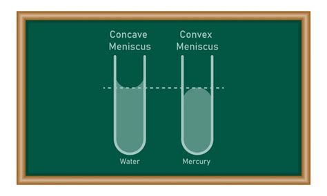 74 Concave Convex Meniscus Images, Stock Photos, 3D objects, & Vectors ...