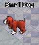 Small dog - YPPedia
