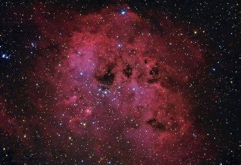 IC410, The Tadpole Nebula : Astronomy