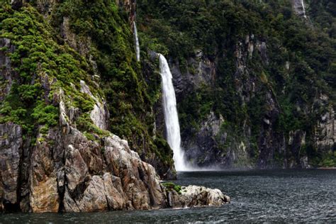 Fiordland National Park: Guide To The Untamed Wildlife Reserve