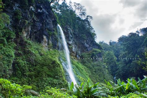 Mount Gede Pangrango National Park ~ dmenan.org