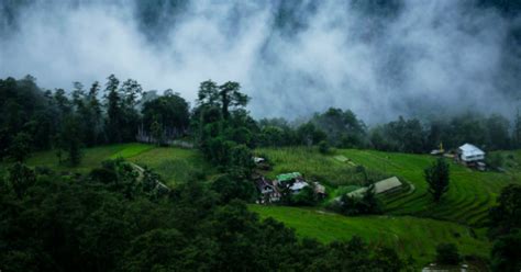 Travel and Tourism: Sikkim emerges as the first 100% Organic State in ...