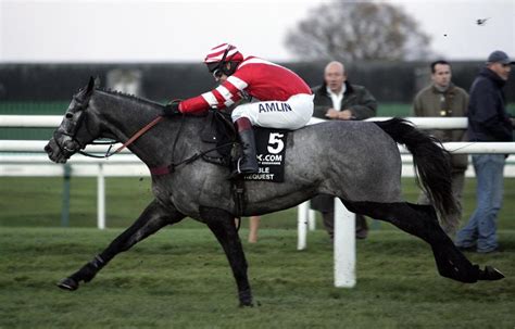 Richard Johnson Retires After 30 Years In The Racing Saddle - Haynet