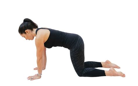 Tabletop Pose (Bharmanasana)