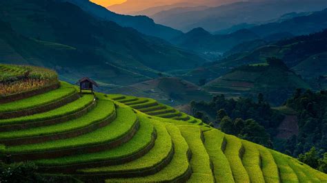 Landscape Photography Of Rice Terraces 4K HD Nature Wallpapers | HD Wallpapers | ID #40305