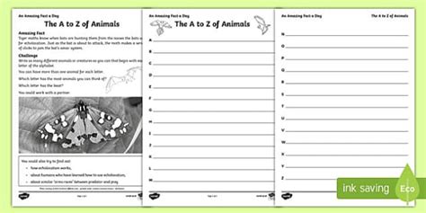 The A to Z of Animals Worksheet / Worksheet, worksheet