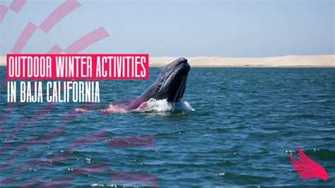 Outdoor Winter Activities in Baja California