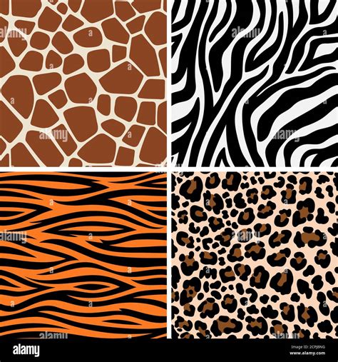 Zebra, giraffe and leopard patterns. Vector tiger stripes and jaguar ...