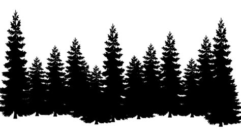 Forest Png Transparent Photo Pine Trees Clipart Png Transparent Png | My XXX Hot Girl