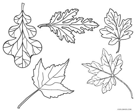 Free Printable Leaf Coloring Pages For Kids | Cool2bKids