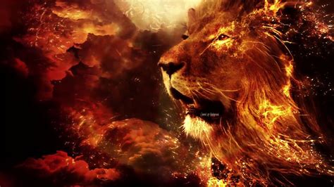 fire lion wallpaper,lion,felidae,wildlife,big cats,organism (#483689) - WallpaperUse