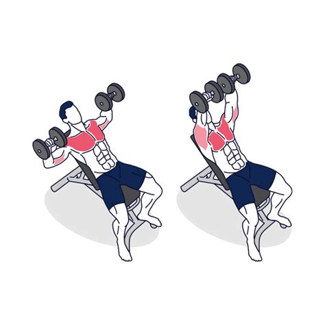 How To: Incline Dumbbell Bench Press - Benefits & Instruction Guide – Simply Fitness