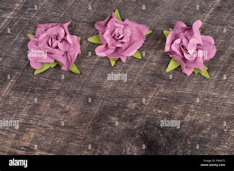 Mauve flowers on old barn wood Stock Photo - Alamy