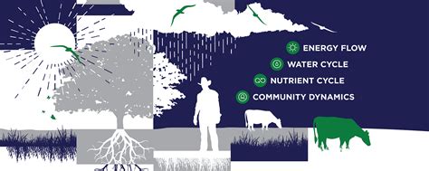 What Are Ecosystem Processes, and Why Do They Matter on the Ranch ...