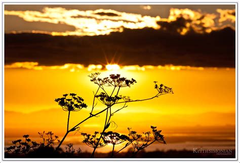 San Francisco East Bay Area Sunset - Keith Simonian Photography