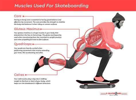 The Muscles Used For Skateboarding - Estakeboardingreviews