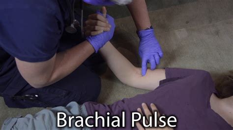 Palpate Brachial Pulse