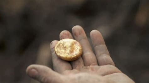 GOLD DISCOVERED AT OAK ISLAND!!! - The Archaeology and Metal Detecting Magazine