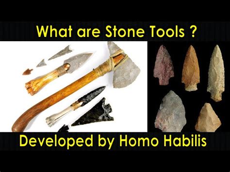 Homo Habilis Tools