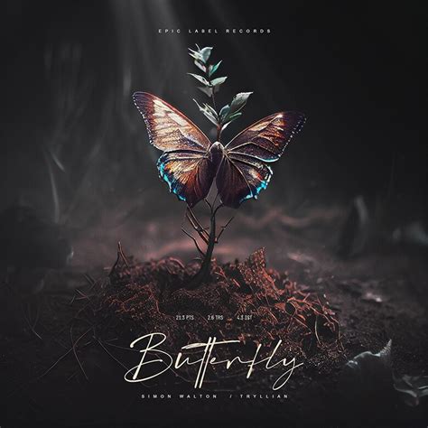 Butterfly Album Cover Art - Photoshop PSD