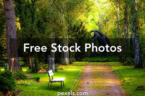 200,000+ Best Nature Background Photos · 100% Free Download · Pexels ...