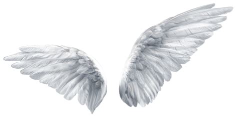 Clear Background Angel Wings Png Transparent - Ininja Thoughts