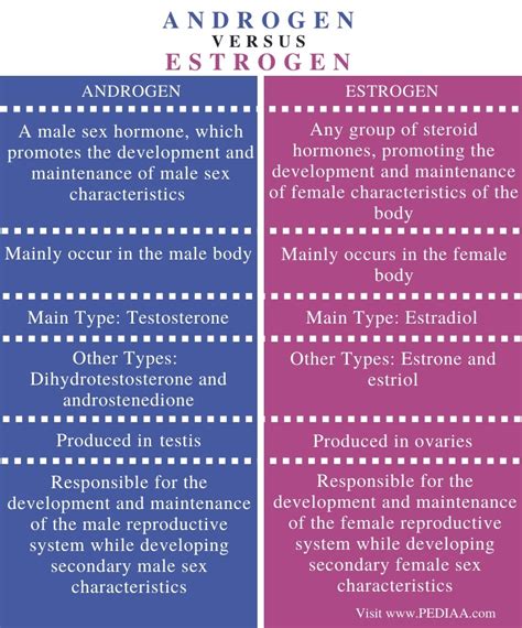 What is the Difference Between Androgen and Estrogen - Pediaa.Com