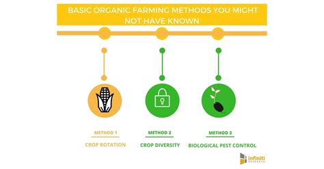 Five Popular Methods of Organic Farming You Must Be Aware of This Year ...