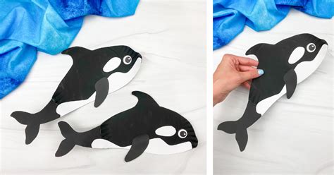 Paper Plate Killer Whale Craft [Free Template]