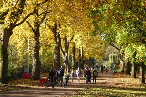 Avenue of autumn trees © Philip Halling :: Geograph Britain and Ireland